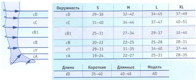 размеры bauerfeind sport