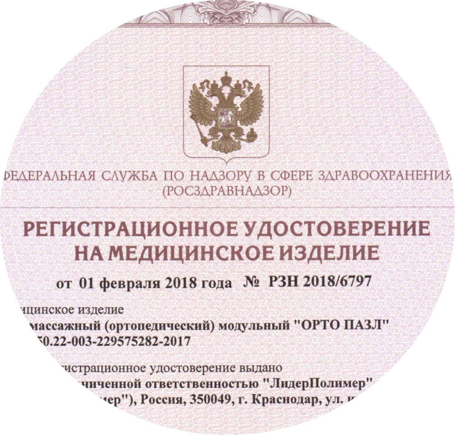 ОРТО ПАЗЛ